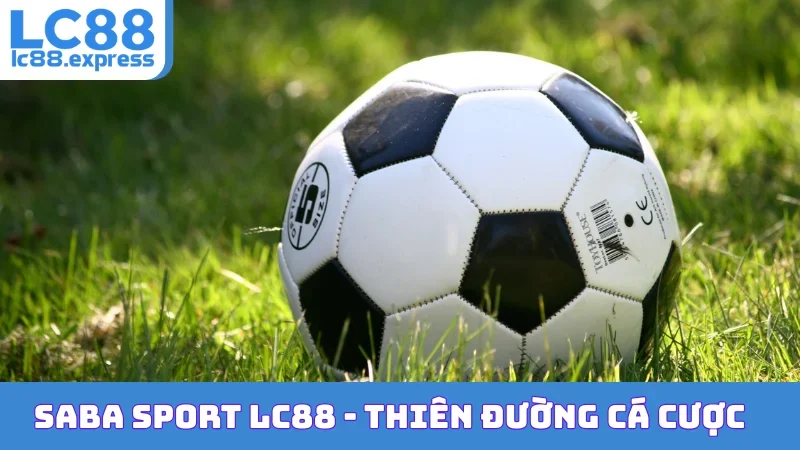 SABA Sport LC88